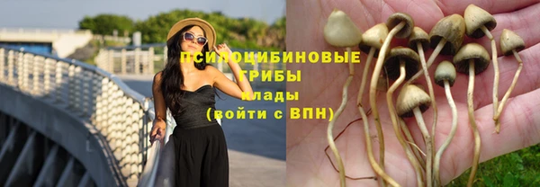 мяу мяу мука Алексеевка