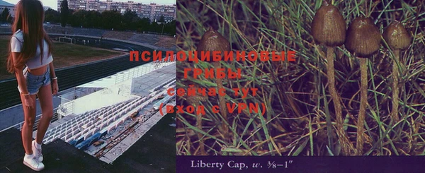 героин Алзамай