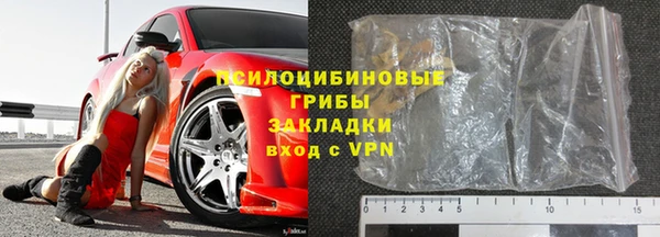 ГАЛЛЮЦИНОГЕННЫЕ ГРИБЫ Абаза
