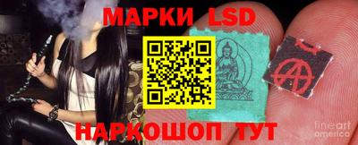 a pvp Новодвинск