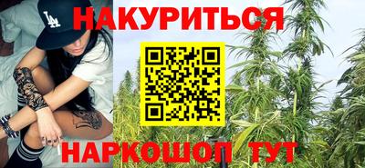a pvp Новодвинск