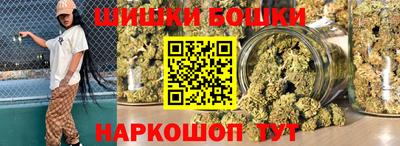 a pvp Новодвинск