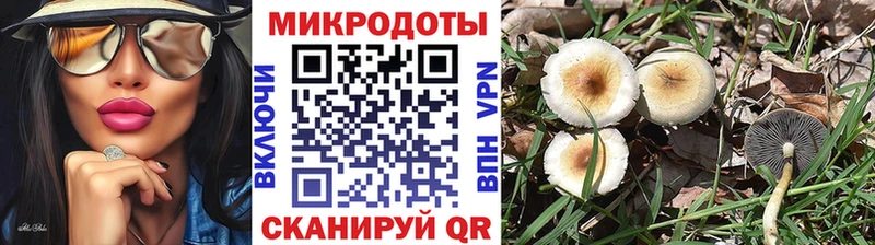Галлюциногенные грибы прущие грибы Татарск