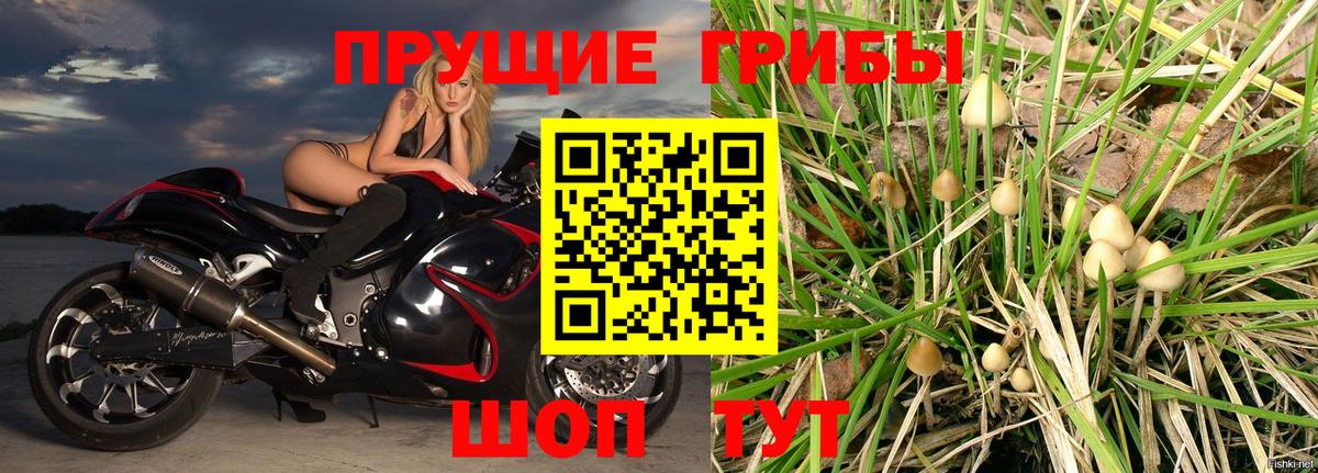 Татарск  Галлюциногенные грибы Magic Shrooms  Вход с VPN 